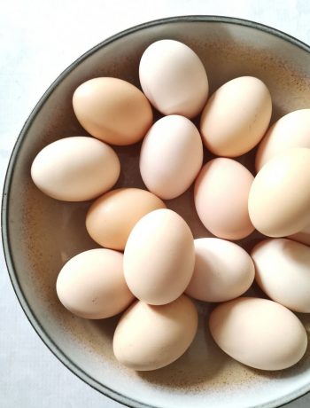 eieren-vervangen-door-eivervangers